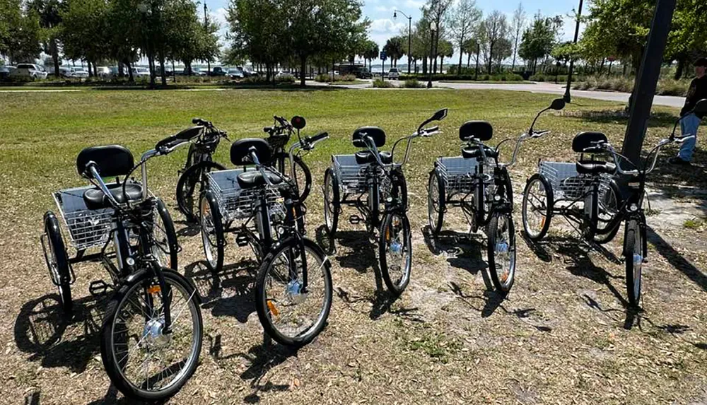 A row of bicycles equipped with front baskets is parked on a grassy field on a sunny day with trees and a person in the background