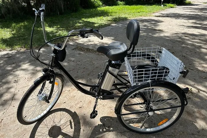 Cruise Down the Kissimmee Lakefront on An Electrified Adult Trike Photo