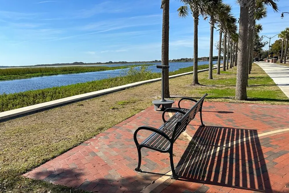 A serene park setting with a bench overlooking a waterway flanked by palm trees and a clear blue sky