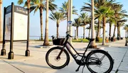 A bicycle is parked on a sunny sidewalk lined with palm trees near a sign that reads 