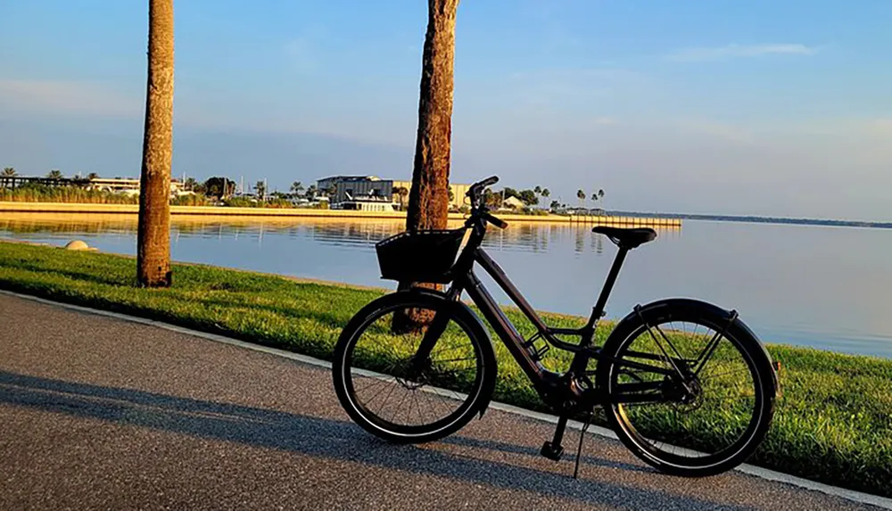 A bicycle is parked beside a path with tall palm trees overlooking a calm lake and a serene landscape during what appears to be early morning or late afternoon