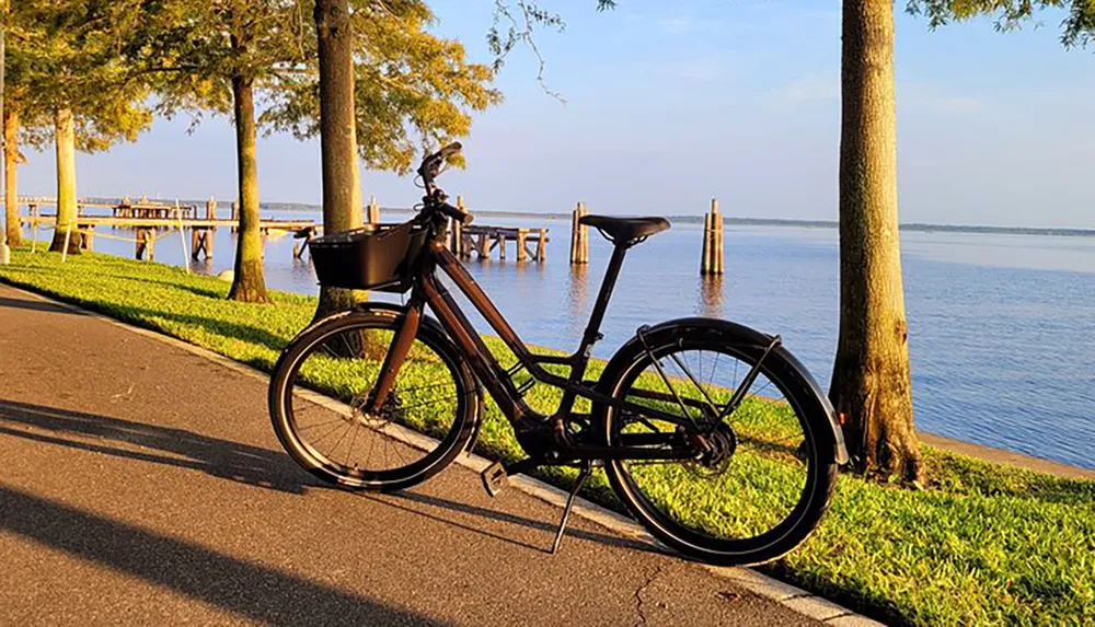 A bicycle is parked along a paved path by the waters edge with trees and a pier in the background during a sunny day