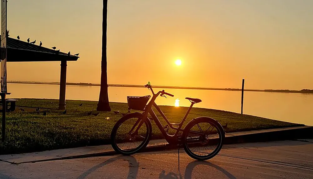 A bicycle is parked by a serene lakeside during a beautiful sunrise with birds perched on a nearby structure and the suns reflection on the water creating a peaceful scene