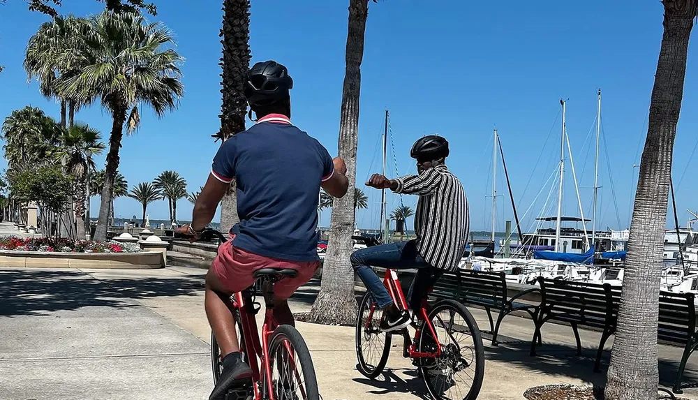Two individuals wearing helmets are riding bicycles by a marina lined with palm trees on a sunny day