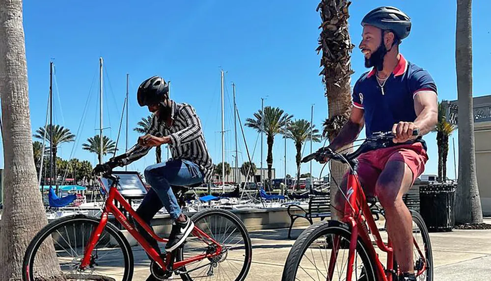 Two individuals are riding bicycles by a marina lined with palm trees and sailboats on a sunny day