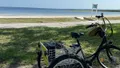 Self-Guided Kissimmee Lakefront Tour on Electrified Adult Trike Photo