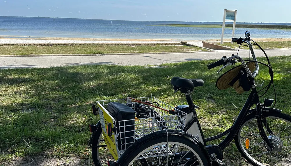 A bicycle with a basket and rear cargo rack is parked on the grass by a coastal roadway with a view of the water and clear sky in the background