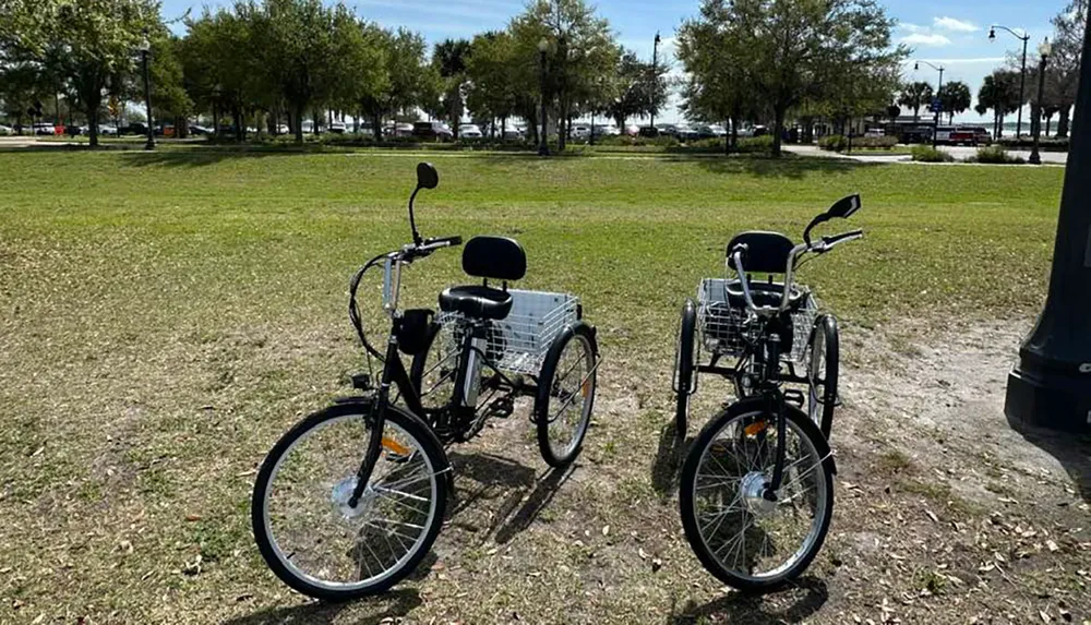 Two three-wheeled bicycles with baskets are parked side by side on a grassy area in a park