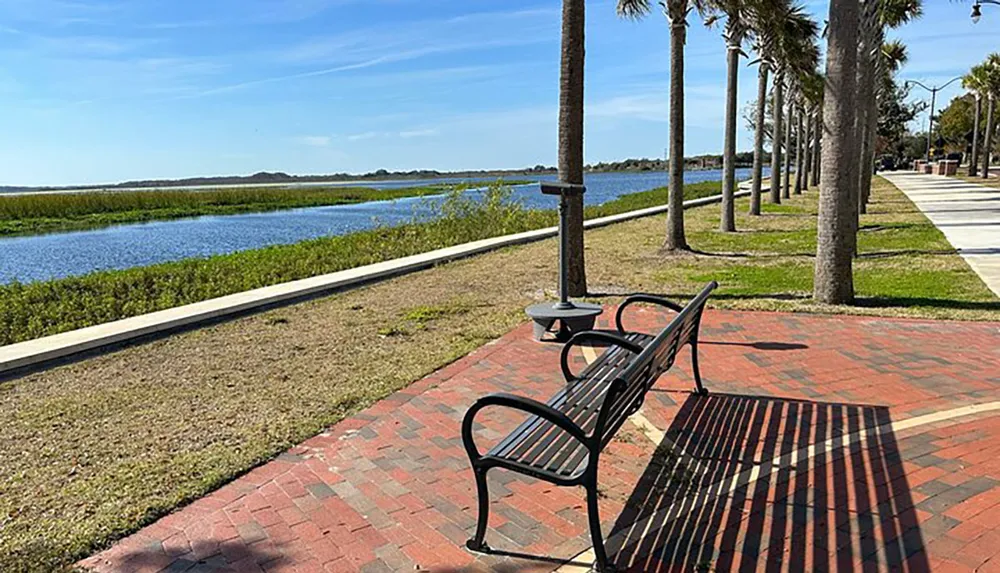 The image shows a serene waterfront promenade lined with palm trees featuring a bench that offers a picturesque view of the blue water and distant landscape