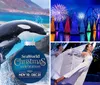 Two killer whales are leaping out of the water during a show at a Christmas-themed event at SeaWorld