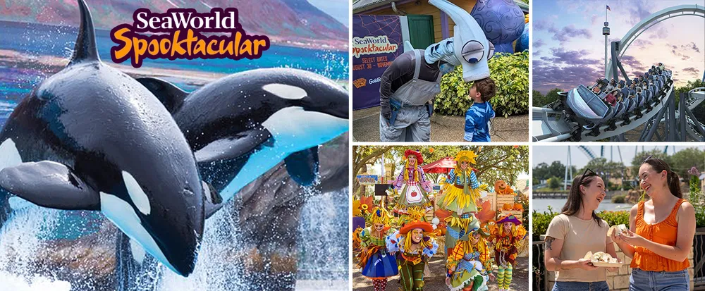 The image is a collage promoting SeaWorlds Spooktacular event featuring orcas costumed characters a roller coaster people enjoying food and vibrant decorations
