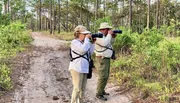 Two people equipped with cameras and binoculars are observing wildlife in a forested area.