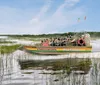An airboat with passengers is gliding through a sunny and lush wetland