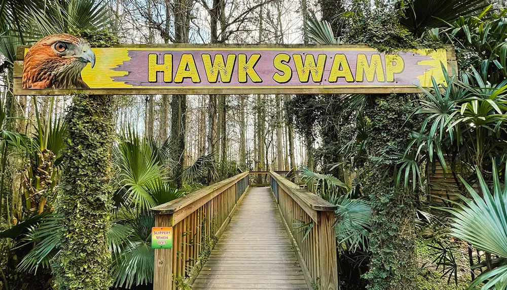 A wooden walkway leads into a lush area marked by a vibrant sign reading HAWK SWAMP with a painted hawks head set against dense greenery