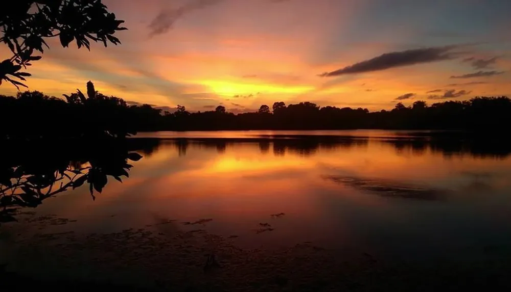 A tranquil sunset casts warm hues across the sky and reflects on the smooth surface of a serene lake framed by silhouetted foliage