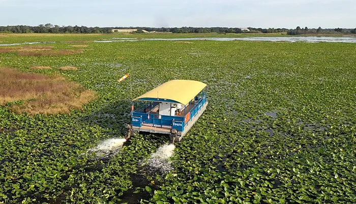 90 Minute Pontoon Cruise in Florida Photo