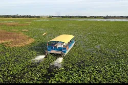 Popular Excursiónes Cruceros Acuáticos