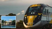 A high-speed train with distinctive yellow and black markings travels through a natural landscape during what appears to be the golden hour of sunlight.