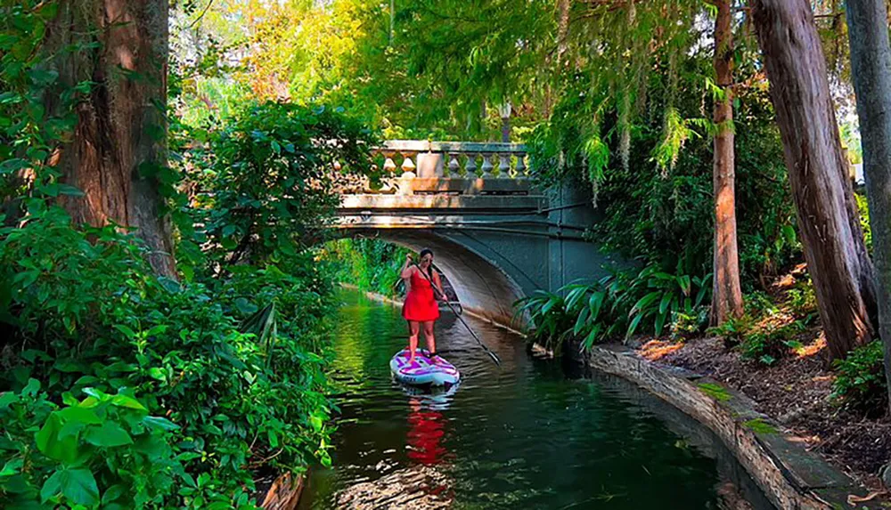 A person is paddleboarding under a bridge surrounded by lush greenery in a serene waterway