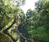 Two people are kayaking along a peaceful tree-lined waterway enjoying the outdoors