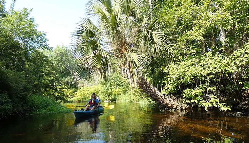 Two individuals are kayaking down a serene tree-lined waterway under a sunny sky