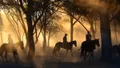 Champagne and Charcuterie Sunset Trail Ride Photo