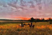 Two riders on horses are enjoying a vibrant sunset over a field peppered with yellow flowers.