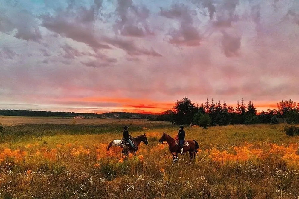 Two riders on horses are enjoying a vibrant sunset over a field peppered with yellow flowers