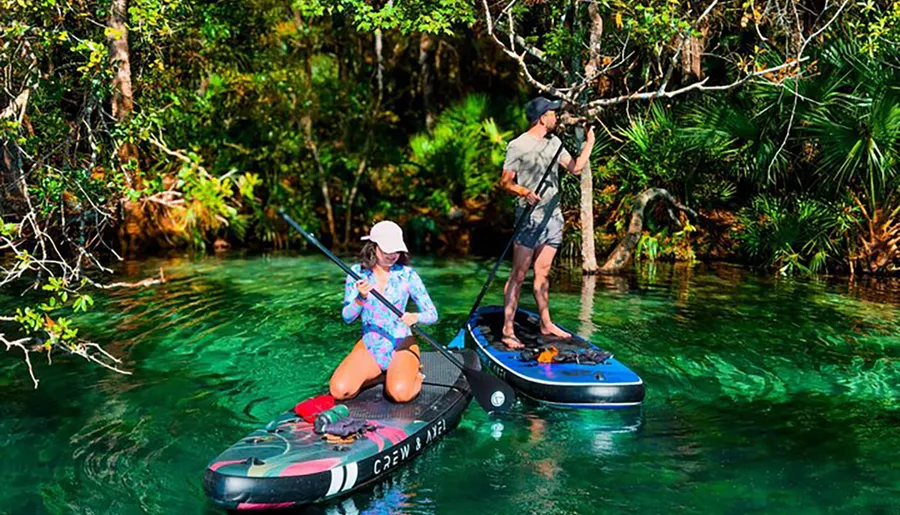 Two people are stand-up paddleboarding on a clear, serene body of water surrounded by lush greenery.