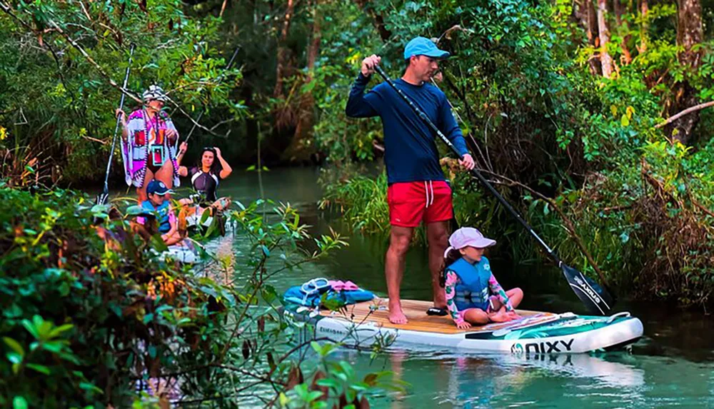 A group of people is enjoying paddleboarding and kayaking along a serene forest-lined waterway