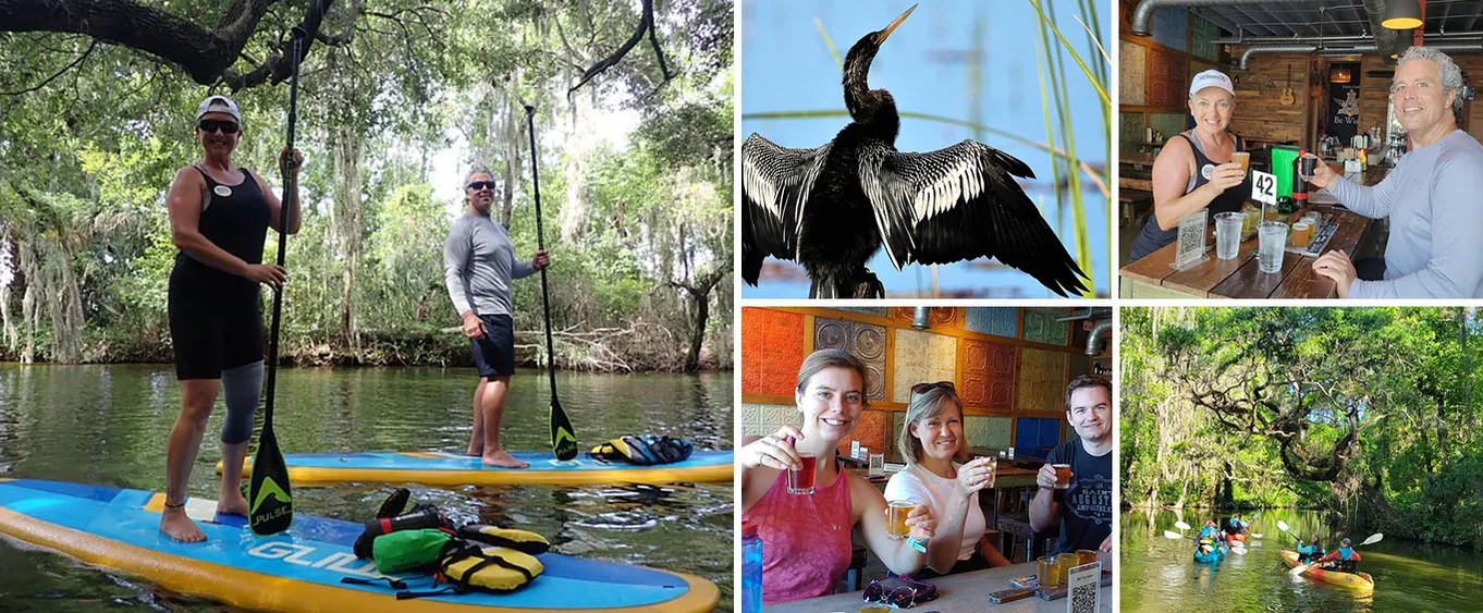 Paddle and Brew Adventure in Central Florida