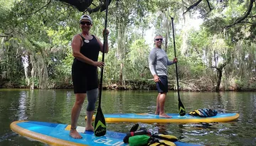 Two people are standing on paddleboards surrounded by tranquil waters and draped Spanish moss in a serene natural setting.