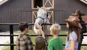 A group of children and an adult wearing hats are interacting with a pale-colored horse at a fence.