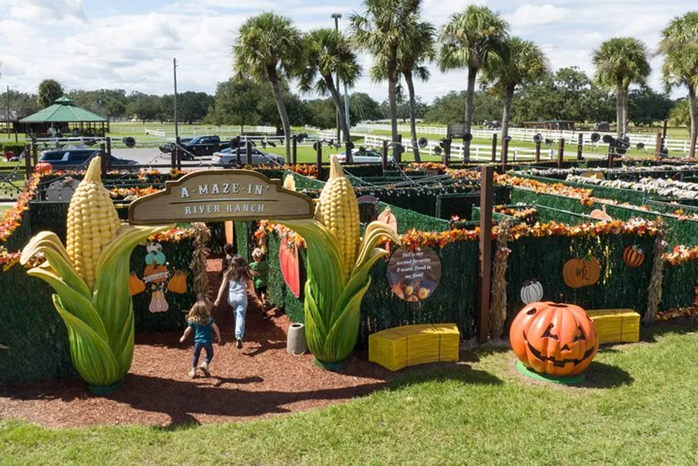 People enter a festive corn-themed maze titled A Maze in River Ranch adorned with fall decorations like pumpkins and hay bales under a sunny sky