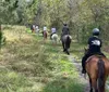 A group of horseback riders travels along a grassy trail at sunset