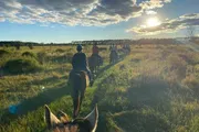 A group of horseback riders travels along a grassy trail at sunset.