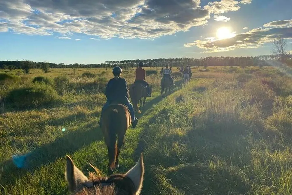 A group of horseback riders travels along a grassy trail at sunset