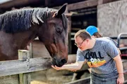 A person is gently offering their hand to a brown horse over a wooden fence at a stable.