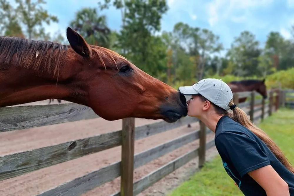 A person wearing a cap is affectionately kissing a horse on the nose over a wooden fence in a pastoral setting