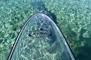 A clear stand-up paddleboard floats on a crystal-clear turquoise water surface.