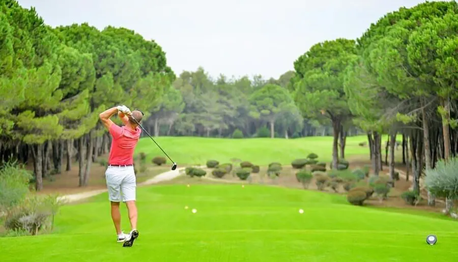 A golfer is in mid-swing on a lush, green golf course flanked by tall trees.