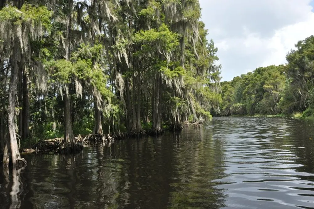 The image shows a tranquil river with cypress trees draped in Spanish moss under a partly cloudy sky