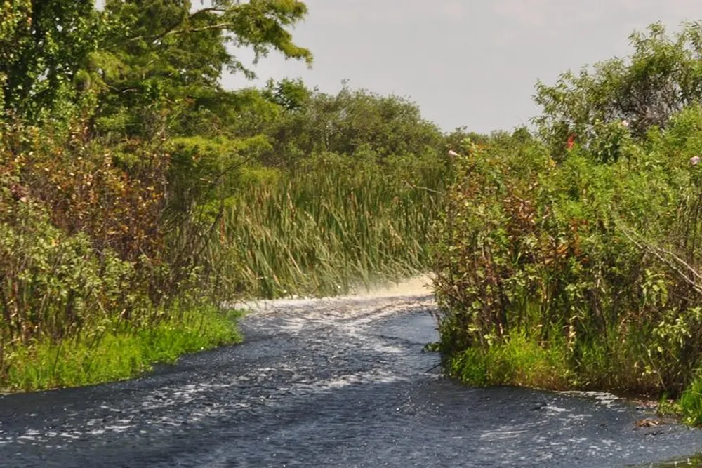 A narrow waterway meanders through lush greenery under a partly cloudy sky