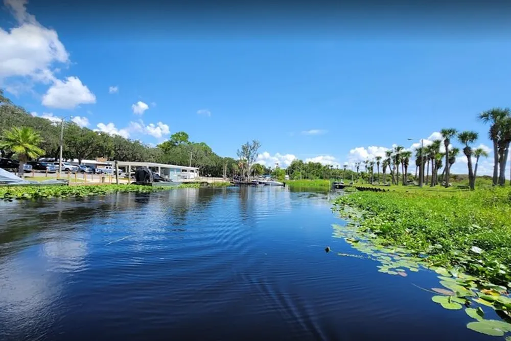 The image shows a tranquil river lined with lush greenery and dotted with lily pads under a clear blue sky with puffy clouds and flanked by a row of palm trees and recreational vehicles to one side