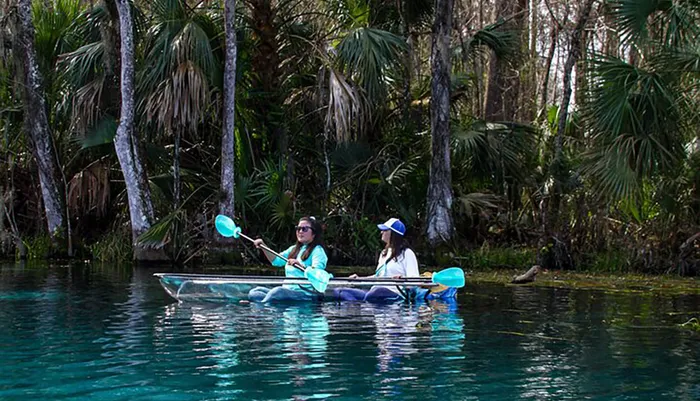 Clear Kayaking Wildlife Tour at Silver Springs Photo