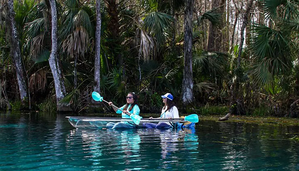 Two people are kayaking in clear blue waters amidst a lush green setting