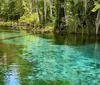 Two people are kayaking in clear blue waters amidst a lush green setting