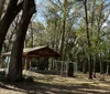 A paved path winds through a serene grove of trees with dappled sunlight filtering through the leaves