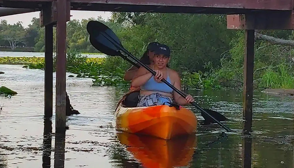 Two people are kayaking under a wooden bridge in a lush green waterway
