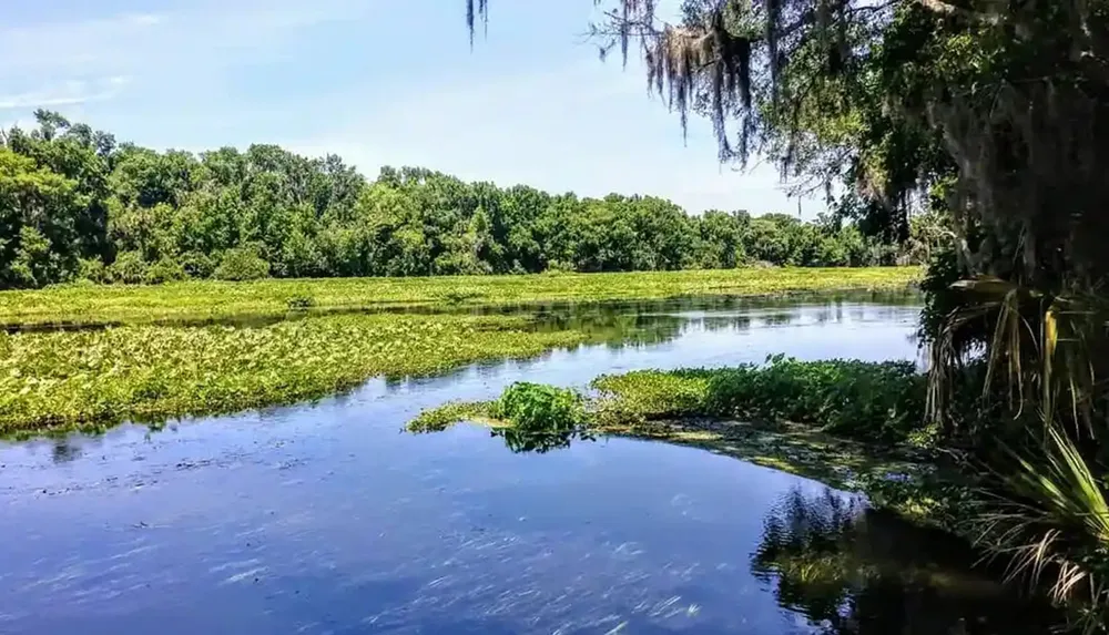 The image shows a serene river landscape with lush green vegetation and trees under a clear blue sky